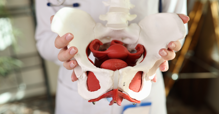 Pelvic Organ Prolapse Treatment by Dr. Gaul in Millcreek, Utah Phase 2 Women
