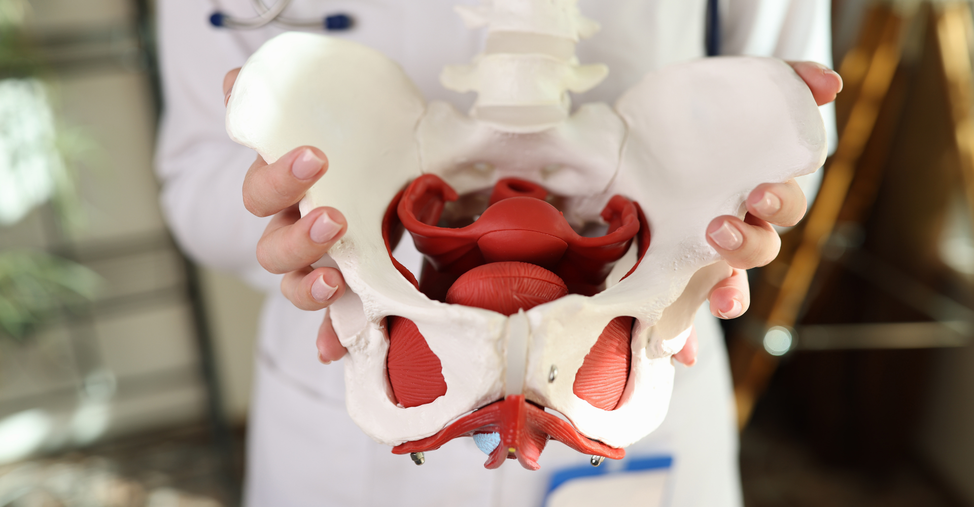 Pelvic Organ Prolapse Treatment by Dr. Gaul in Millcreek, Utah Phase 2 Women