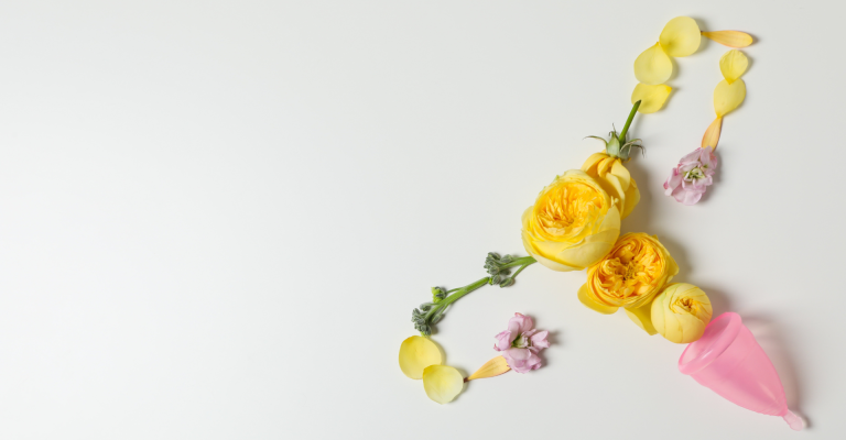 Hysterectomy explained by Dr. Graul in Millcreek, Utah Phase 2 Women