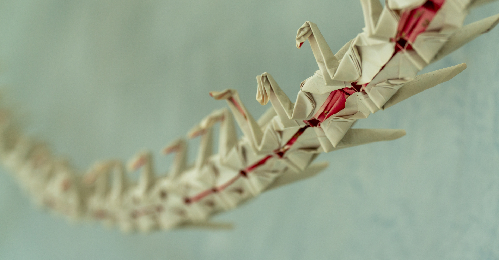 Sacral Nerve Stimulation Therapy by Dr. Graul in Millcreek, Utah Phase 2 Women